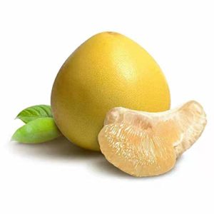 Share Original Pomelozzini 170g fermentierte Pomelofrucht – Bild 4